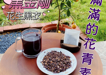 神飲少女黑金剛花生皮茶包 | 成份：花生黑衣 | 產地：台灣 (雲林) | 台灣生產製造