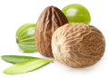 三果實 Triphala 的功效與食用禁忌